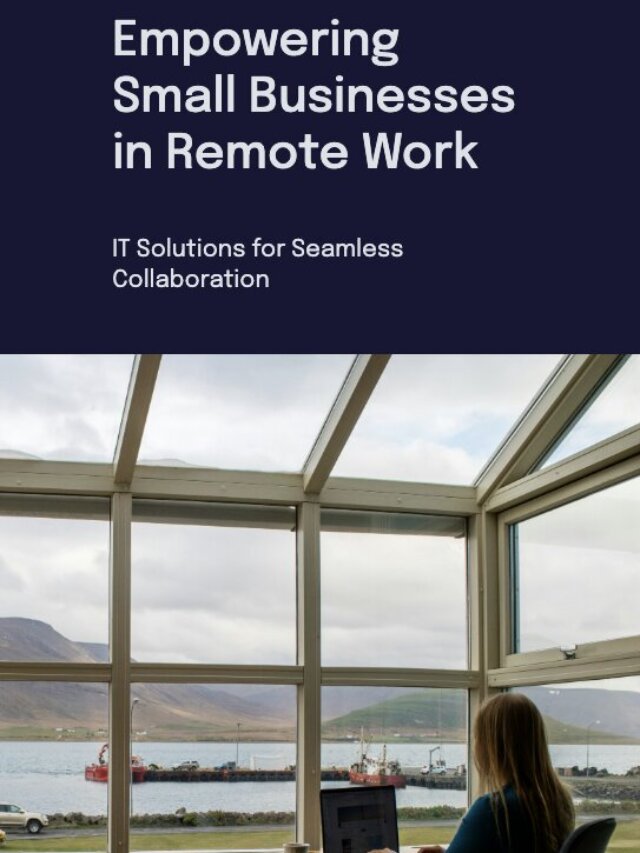Empowering Small Businesses in Remote Work