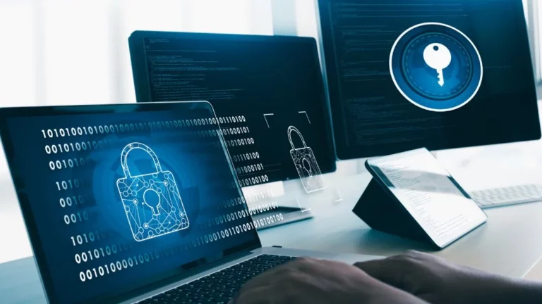 Understanding Data Privacy Law in Germany