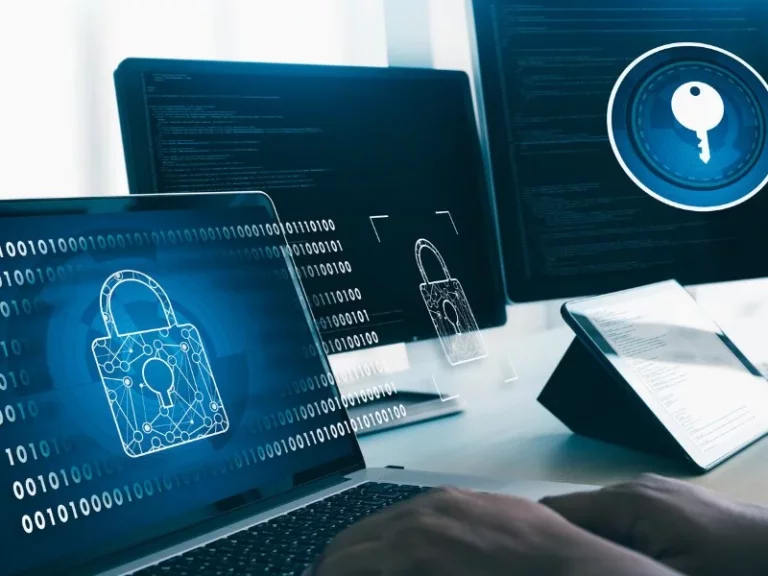 Understanding Data Privacy Law in Germany